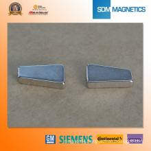 Ts 16949 Special Shape Neodymium Permanent Magnet